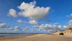 Strand von Blokhus (DK)