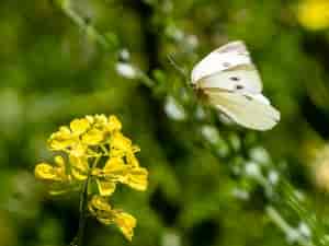 Abflug