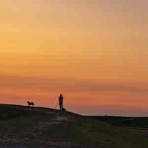 Mann mit Hund