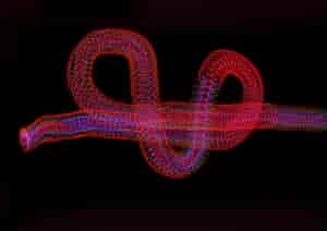 Lightpainting