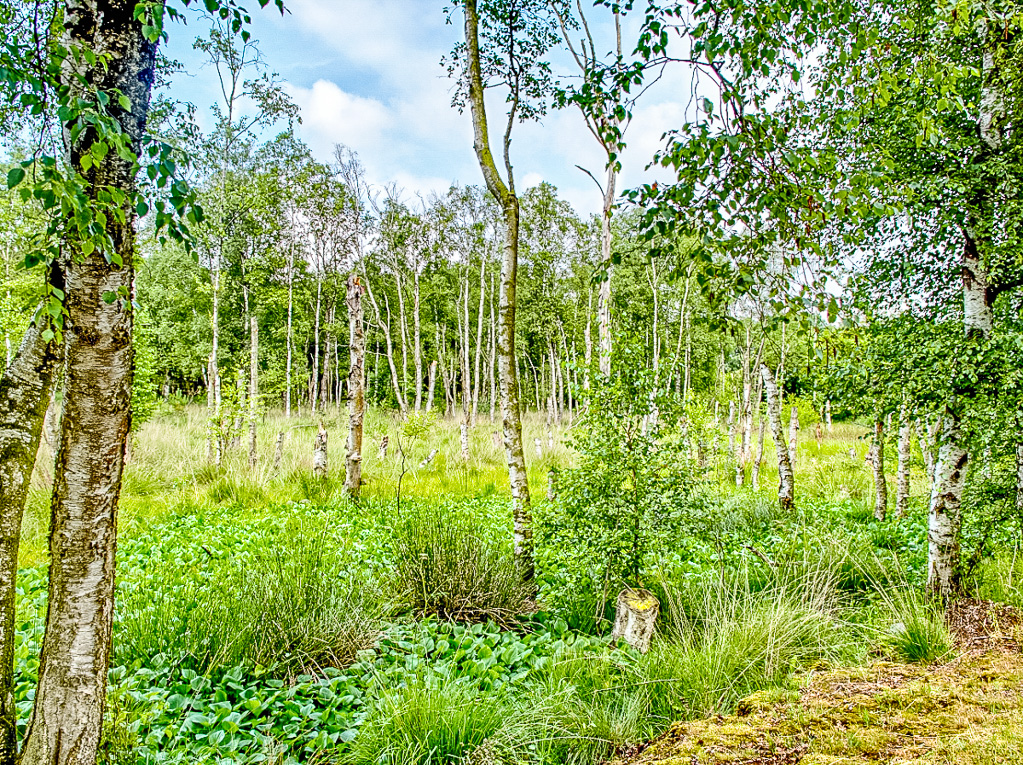 HDR bearbeitet G.Jerzembek