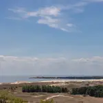 Die Kurische Nehrung 2