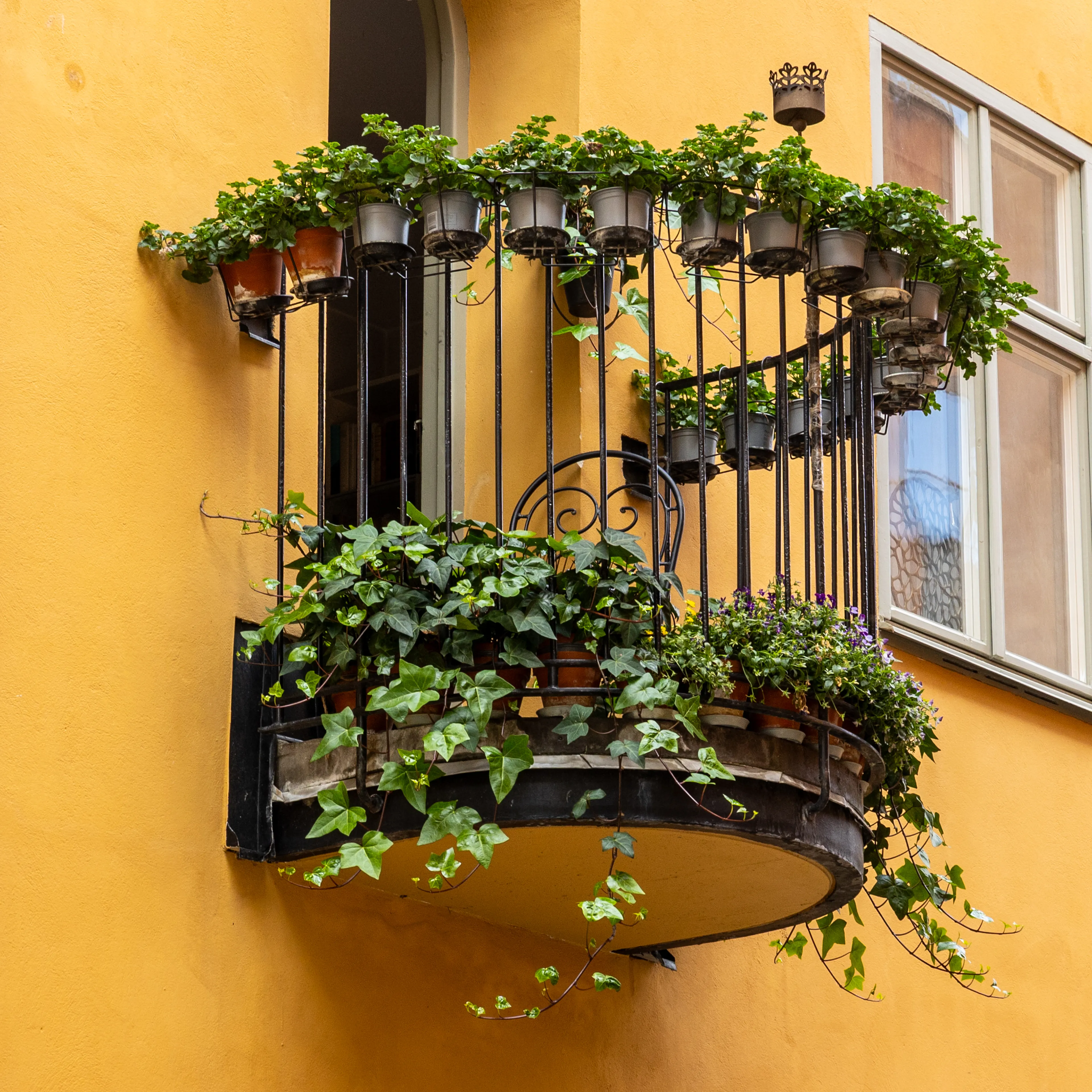 Balkon
