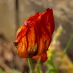 Es war einmal.........