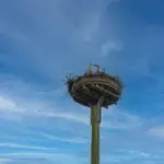 Für Nachwuchs sorgen