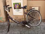 Fahrrad