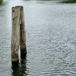 Poller