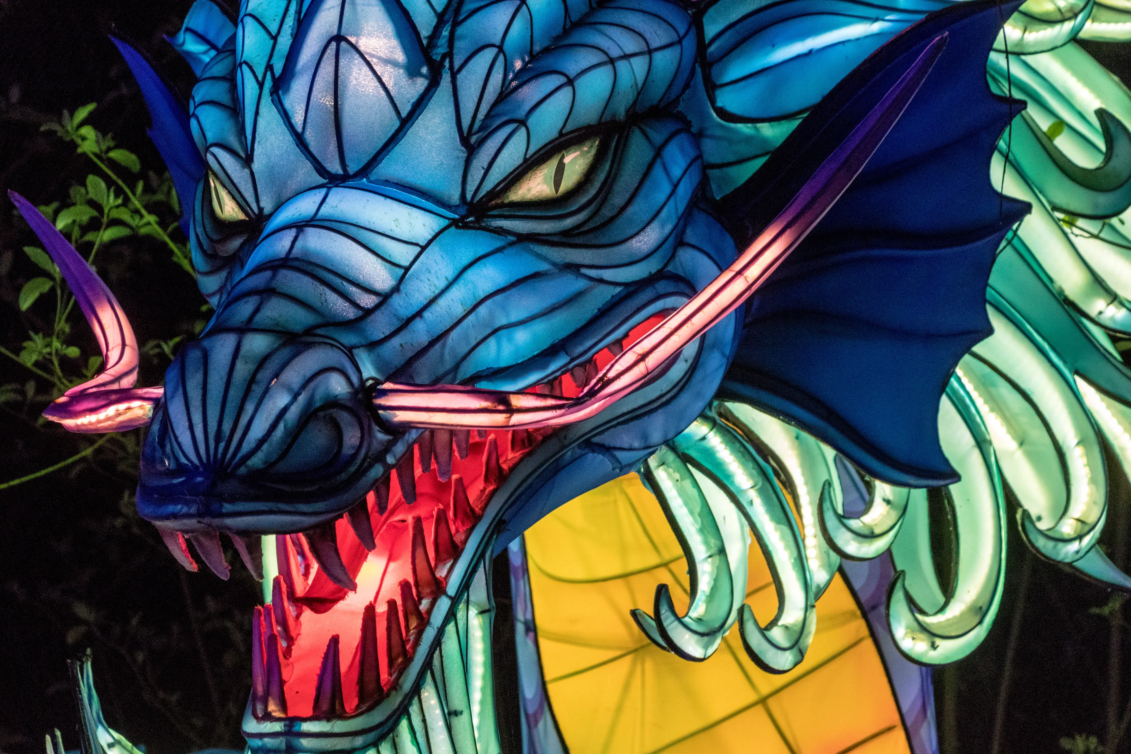 Schau mir in die Augen