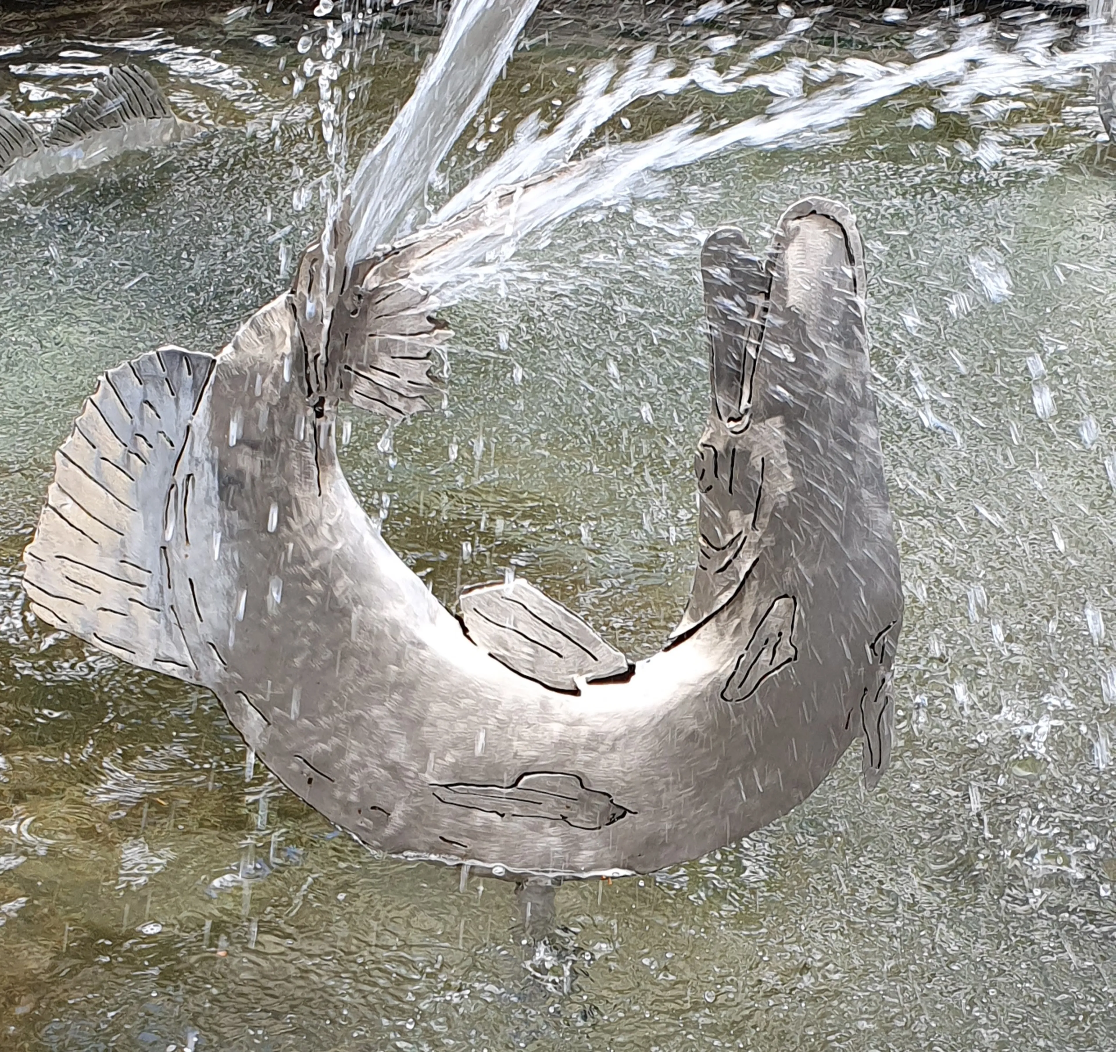 toller Fisch