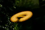 UFO!!!!!!!!!!